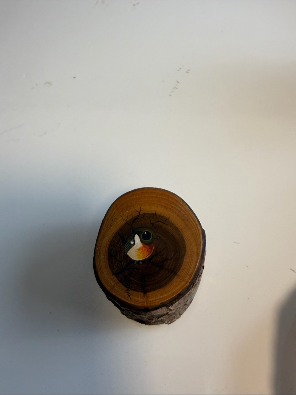 Hand-Painted Bird Wood Perch Key Holder